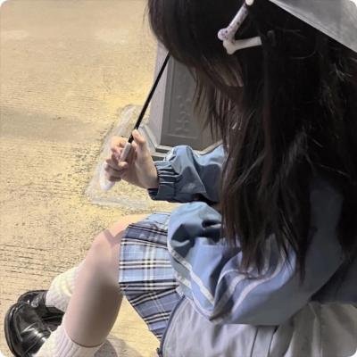 刺猬与城市